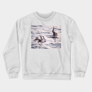 Fighting Gulls Crewneck Sweatshirt